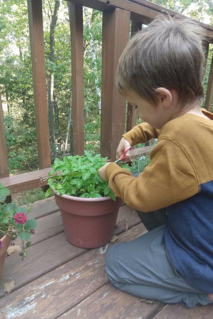 Montessori Homeschool Making an Herb Book