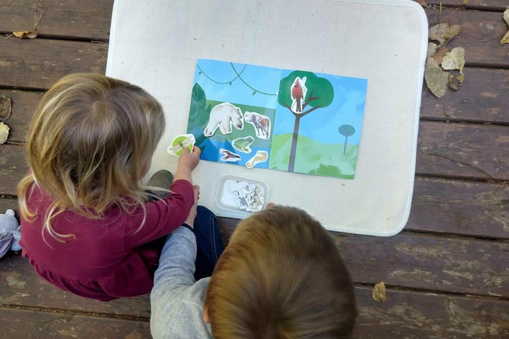 Montessori DIY for Land, Air, Water Classification (Montessori Geography)