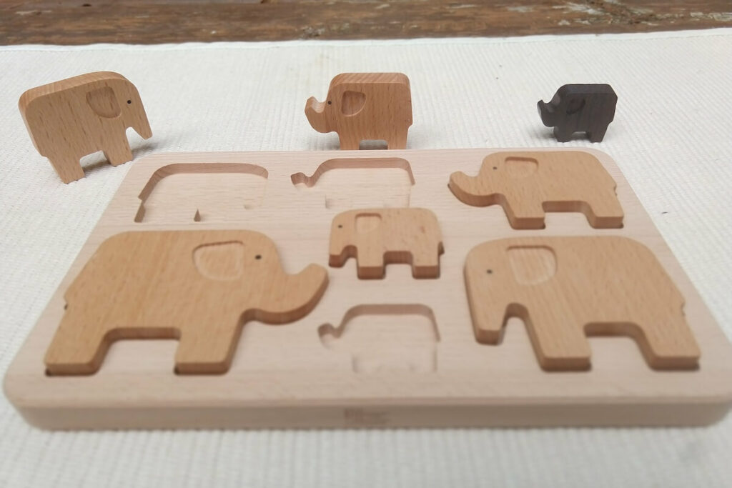 Montessori Wooden Puzzle