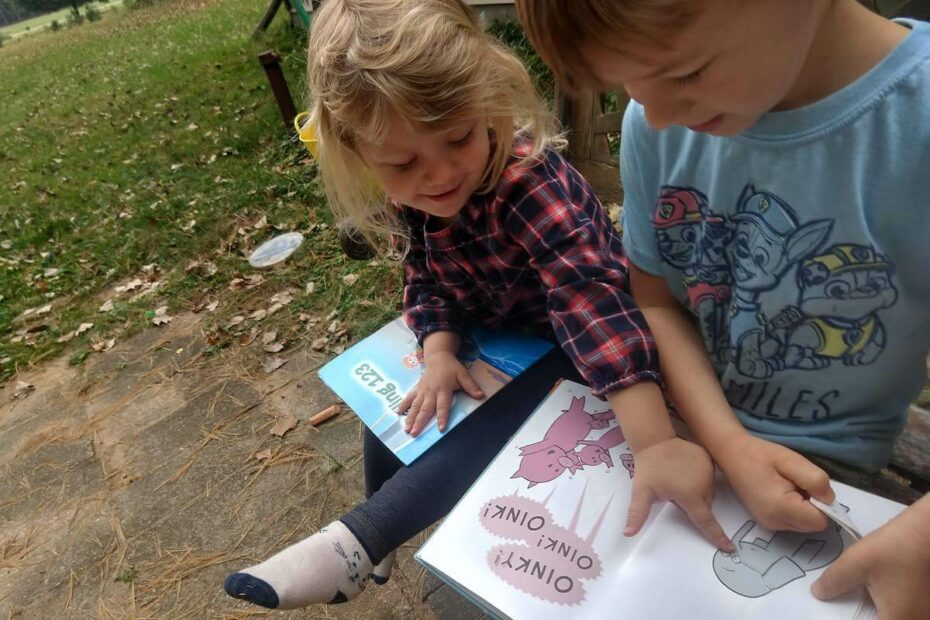 Montessori Homeschool Reading