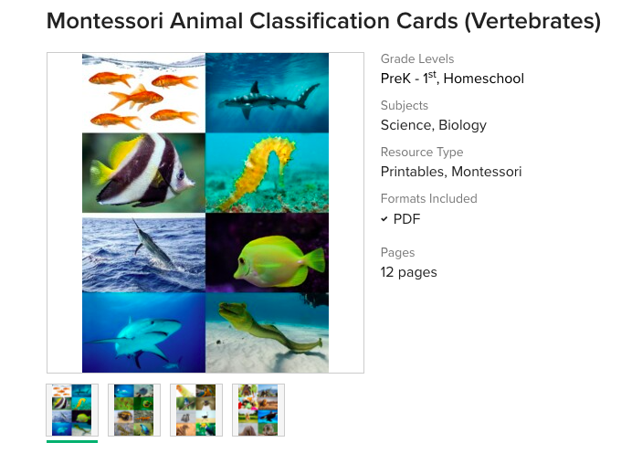 Montessori Animal Classification Cards Printable